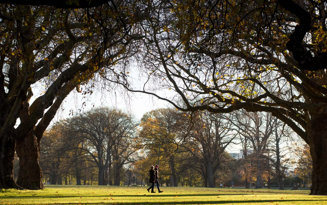 Walking through Hagley Park