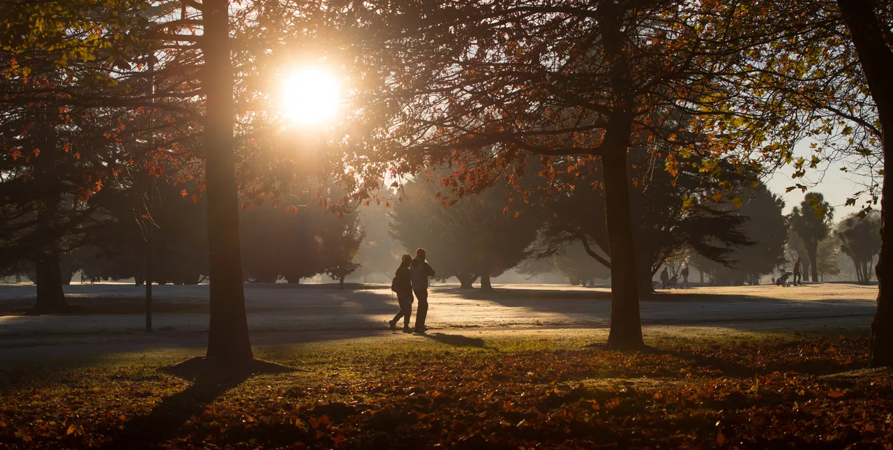 Autumn sunrises in Hagley Park