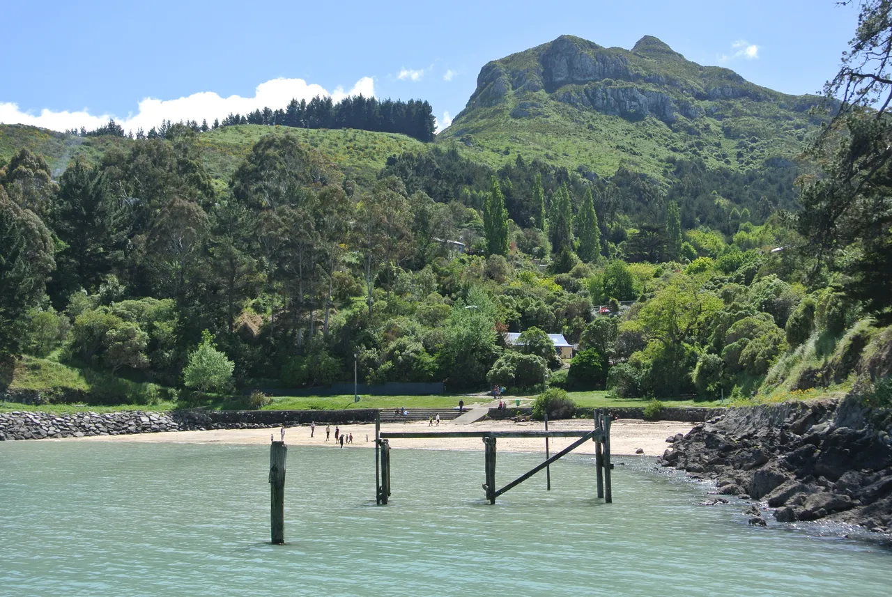Summer in Corsair Bay