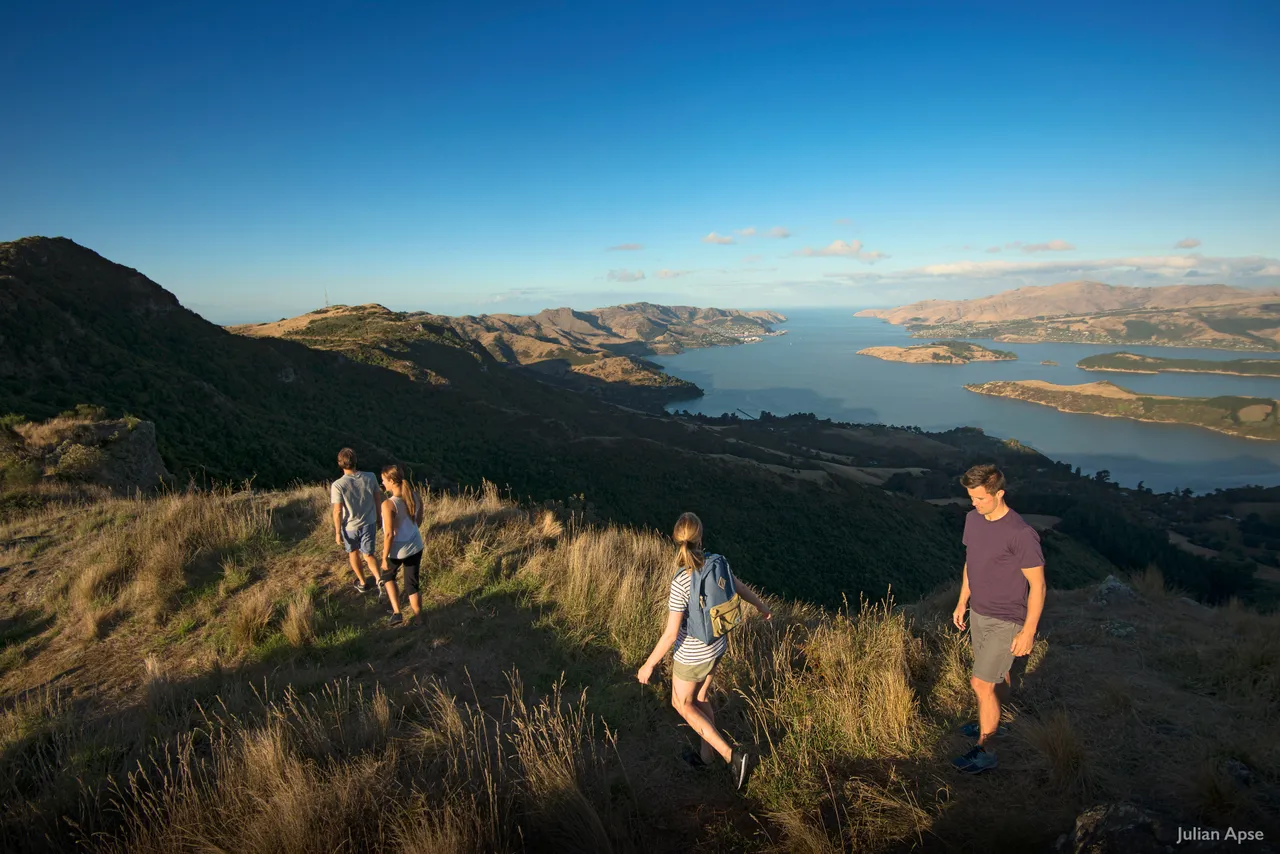 Group walking in the Port Hills