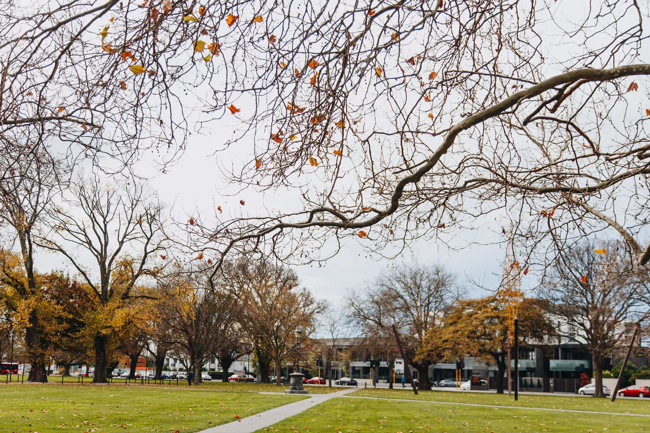 Autumn in Latimer Square