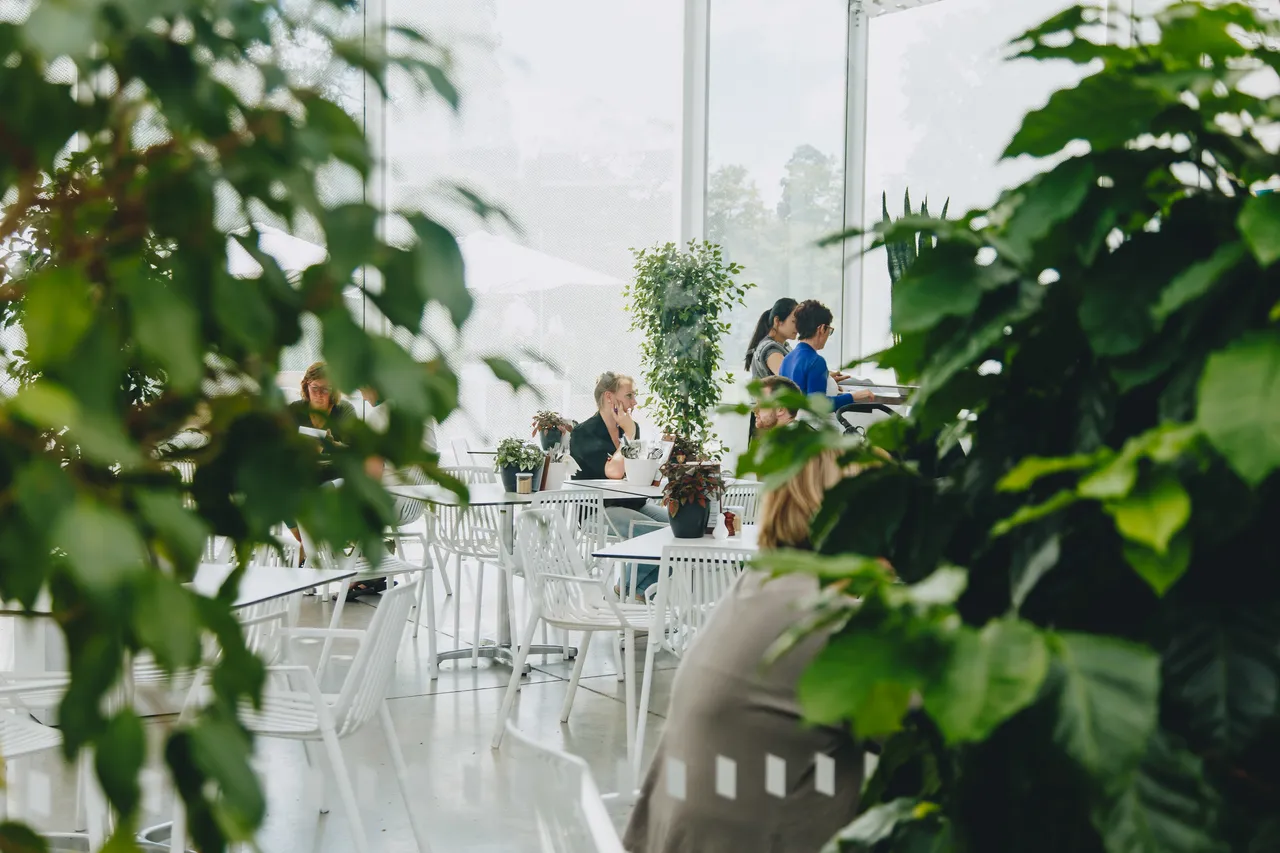 Inside ilex Cafe