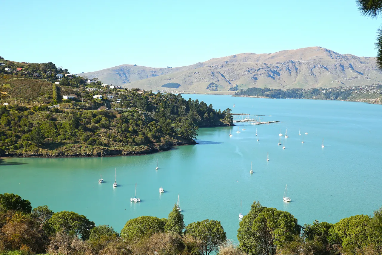 Cosair Bay, Lyttelton