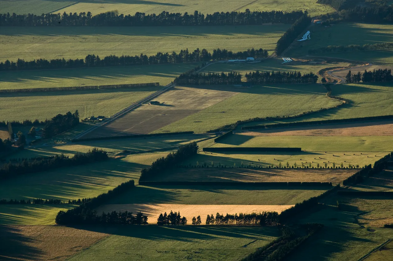 Canterbury Plains