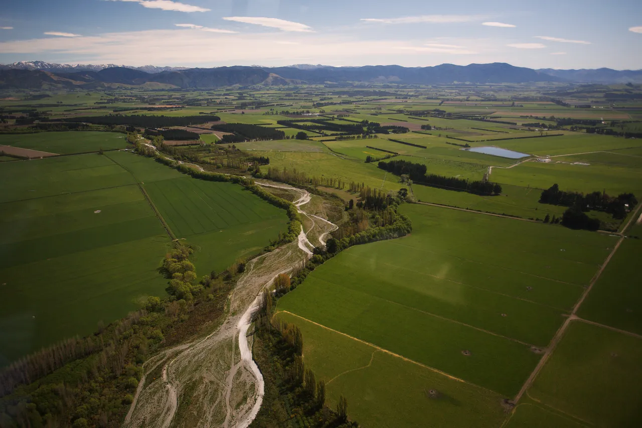 Canterbury Plains