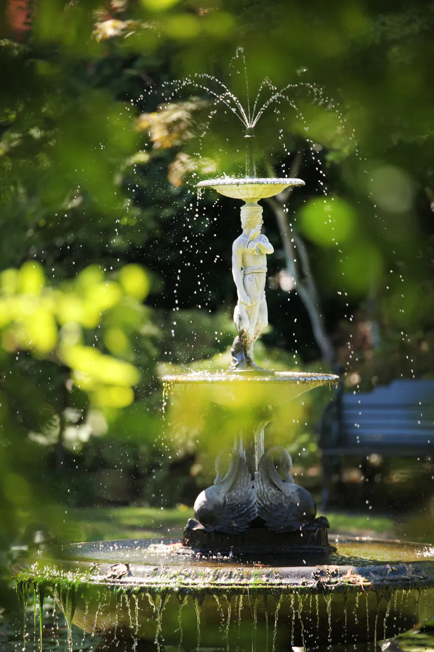  Mona Vale Fountain
