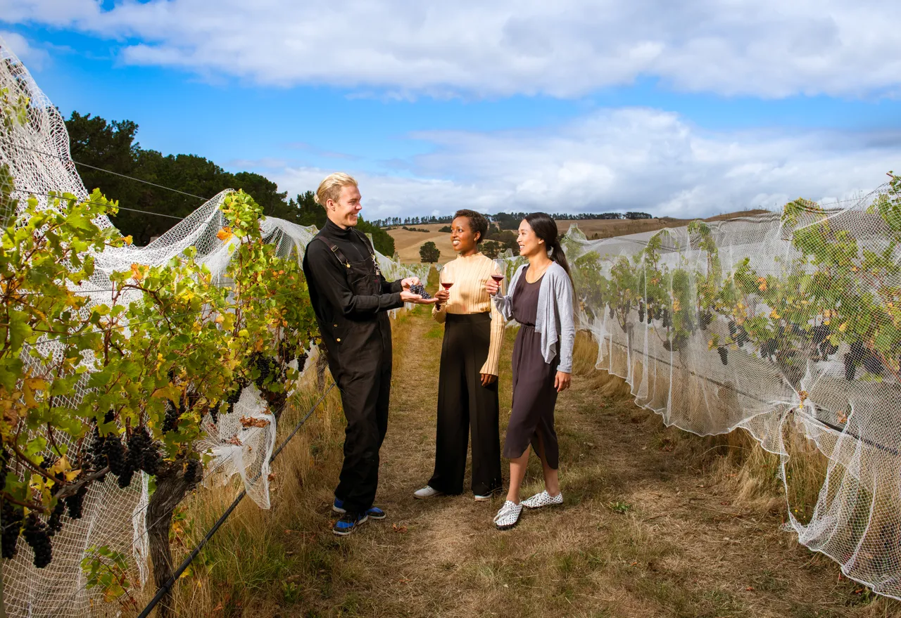 North Canterbury Winery - delegates in vineyard