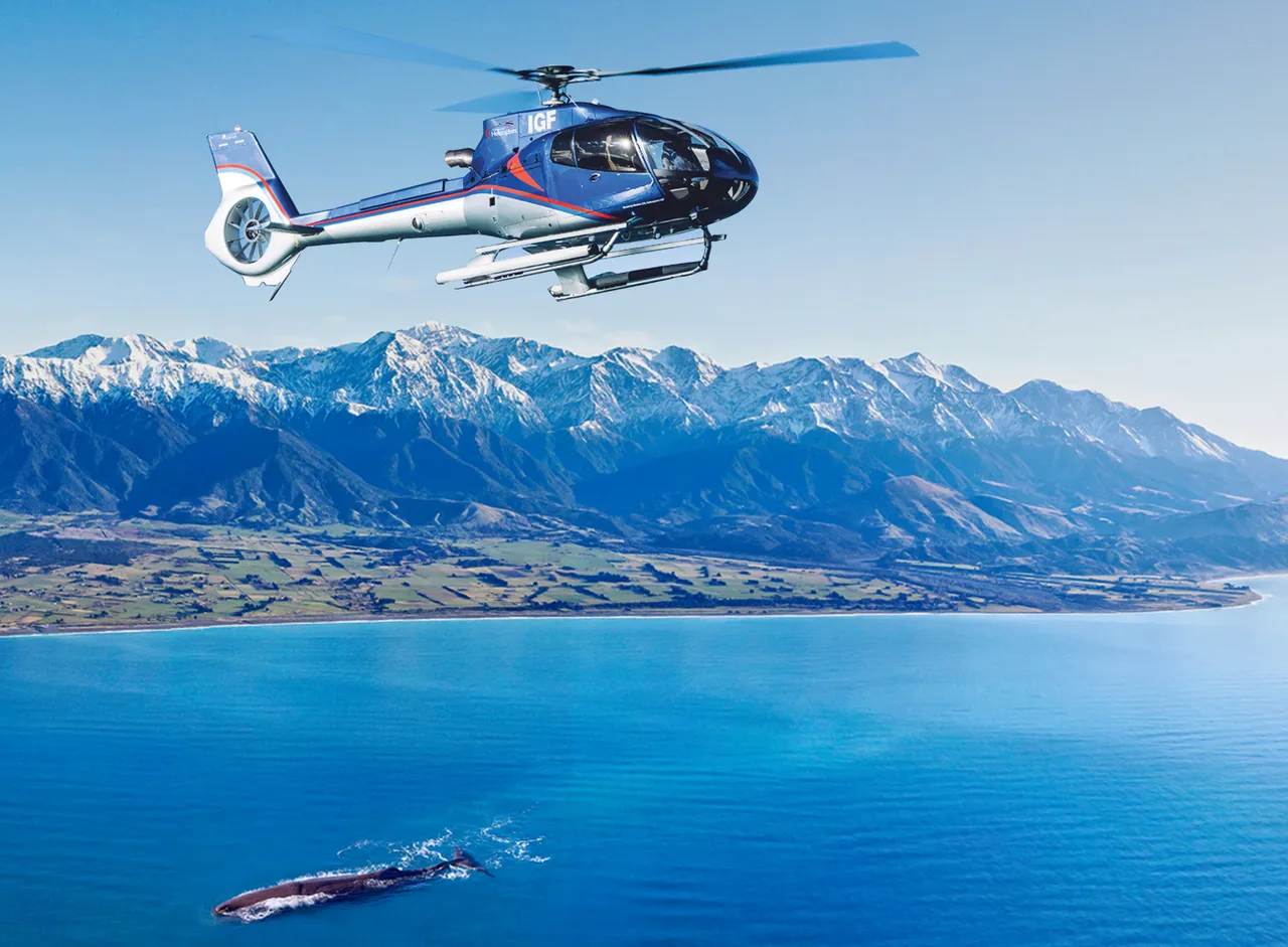 GCH Kaikoura Helicopters Whale