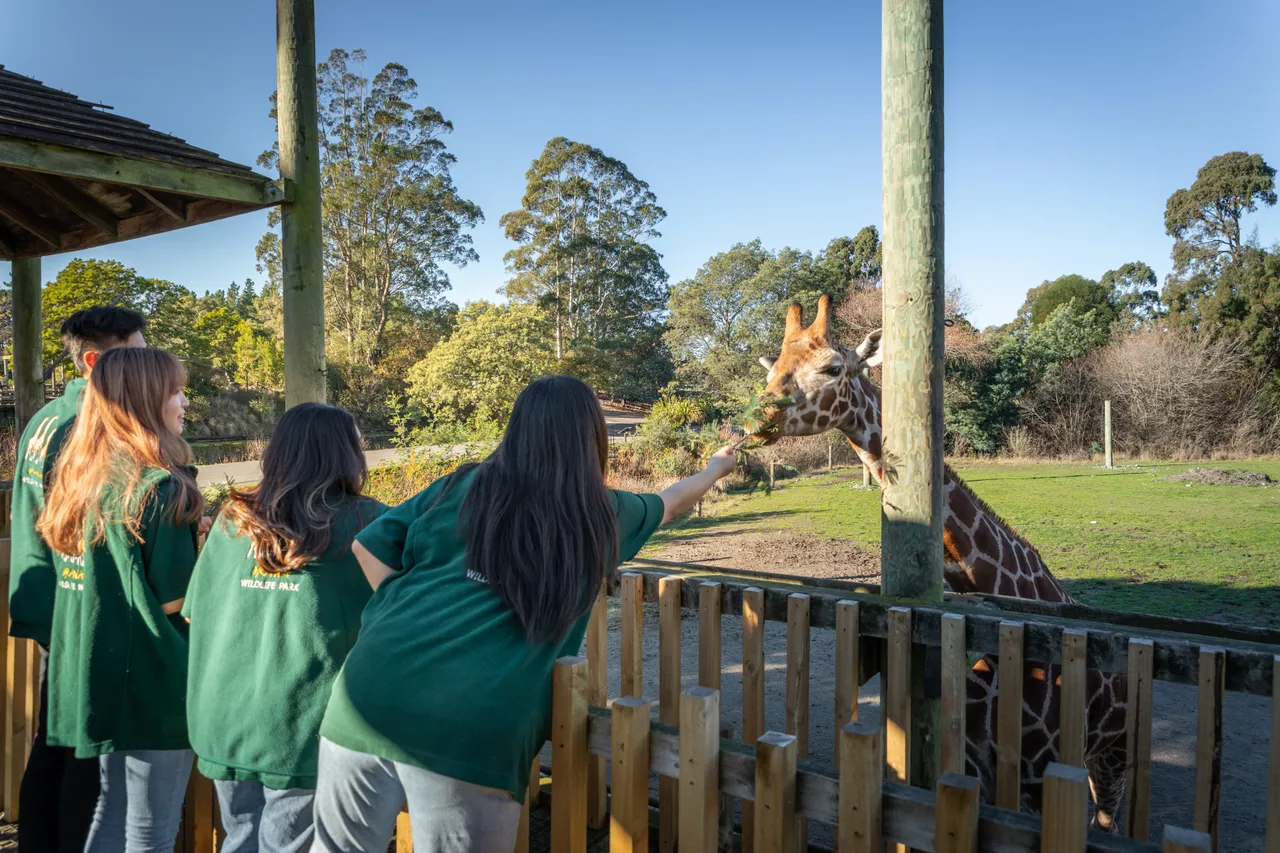 BeKiwi - Students at Orana Park