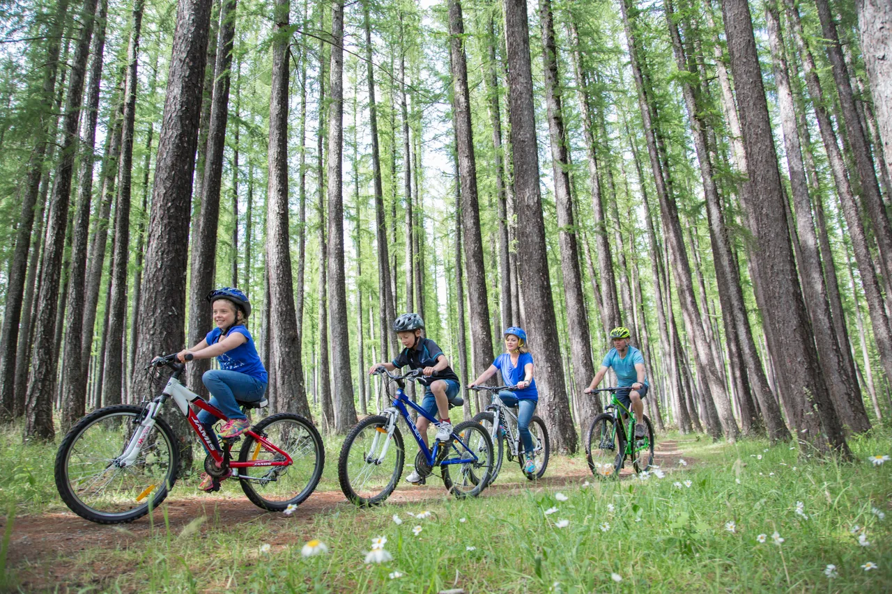 Mountain biking in Hanmer Springs 