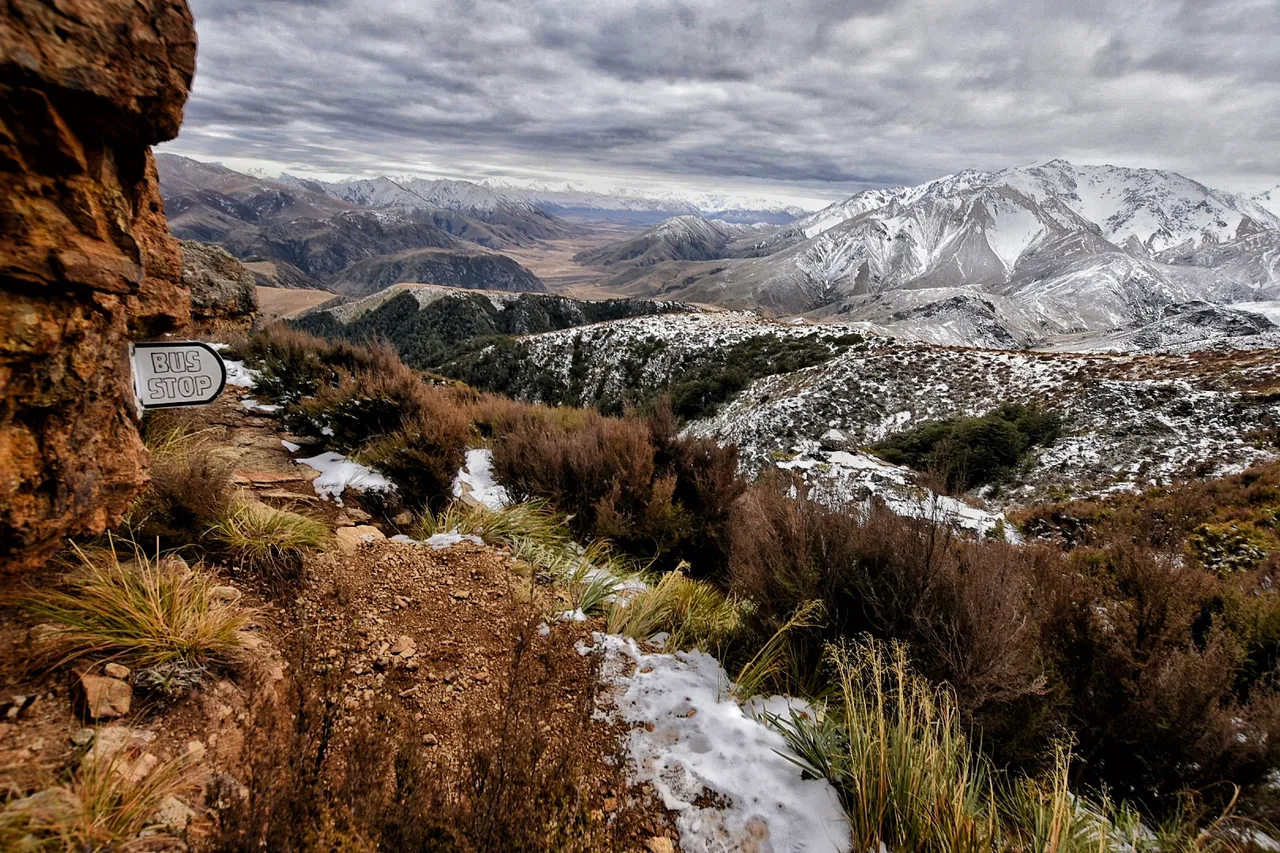 Woolshed Creek Track