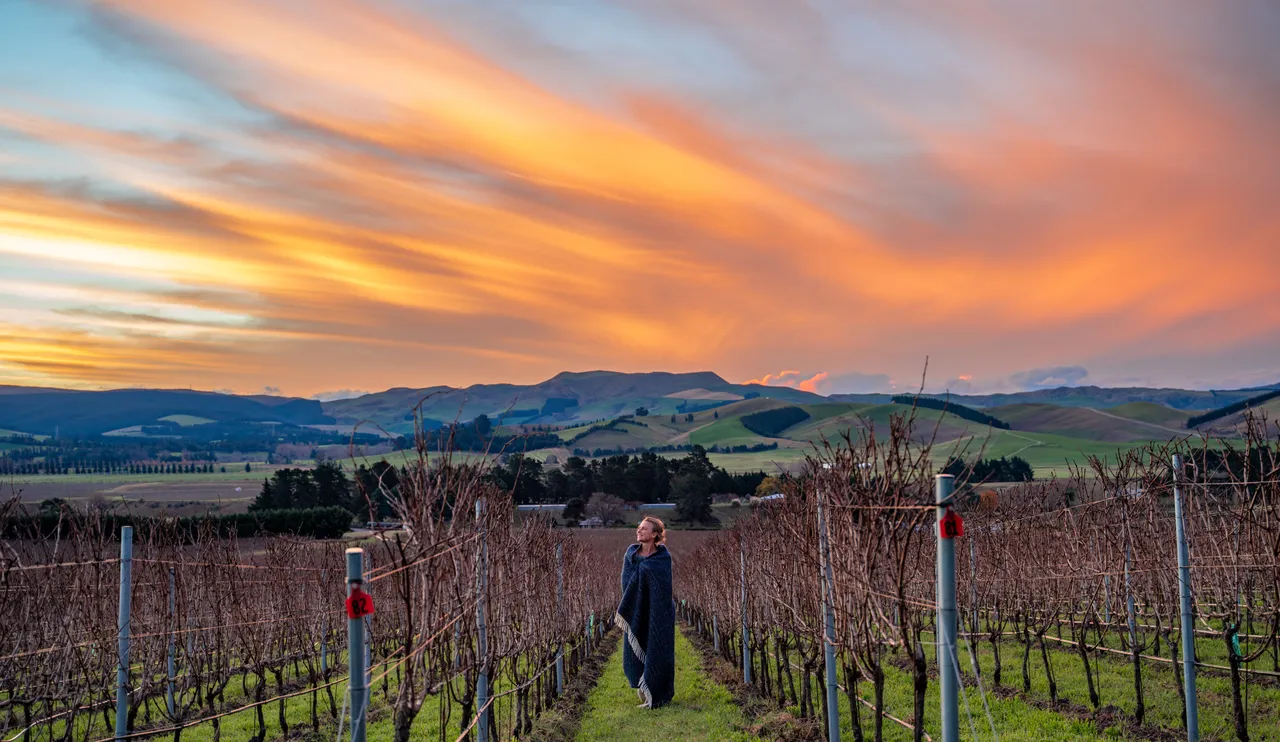 Woman watching the sunset in Vineyard