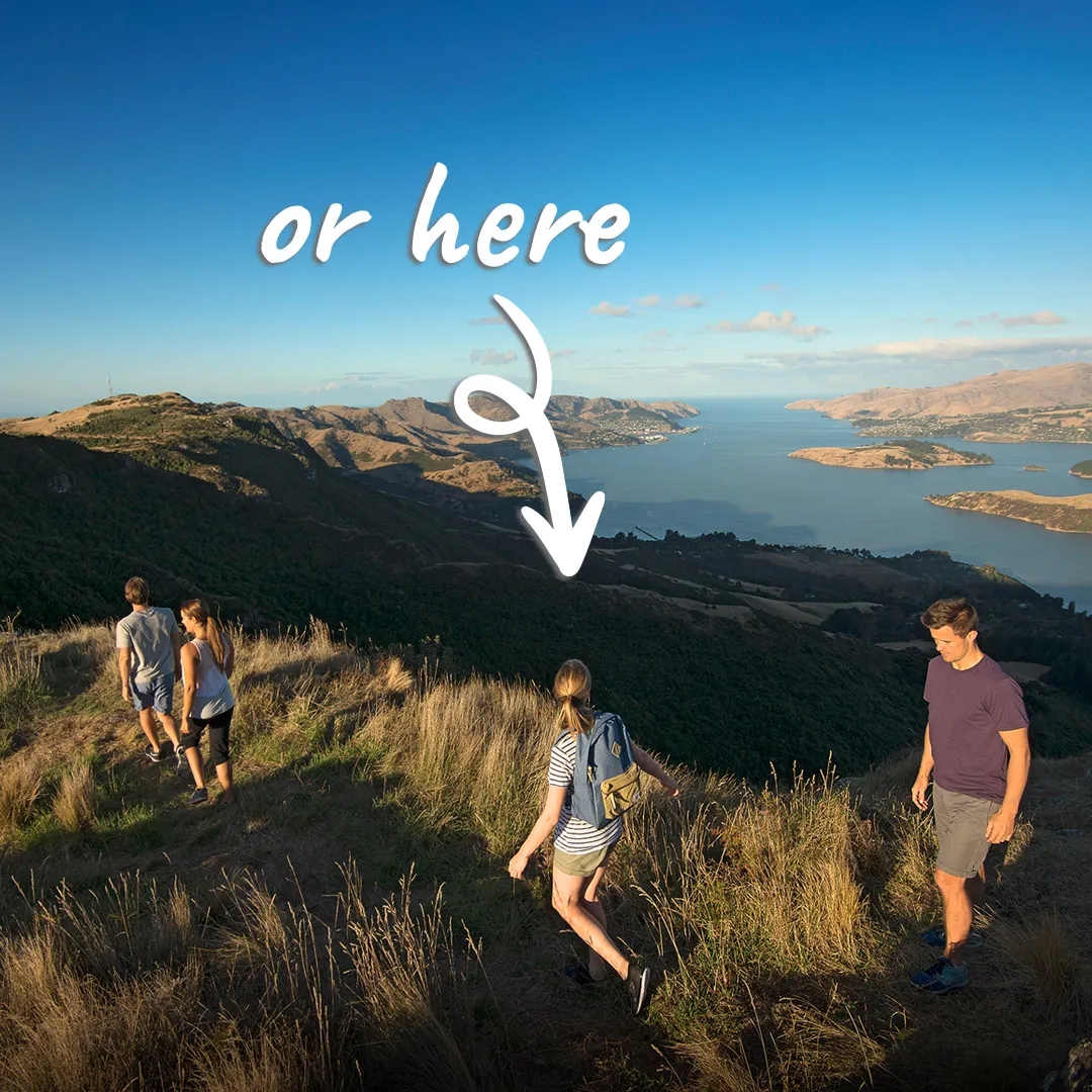 You Should Be Here - International Education Campaign