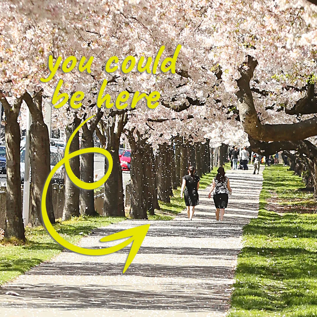 You Should Be Here - International Education campaign