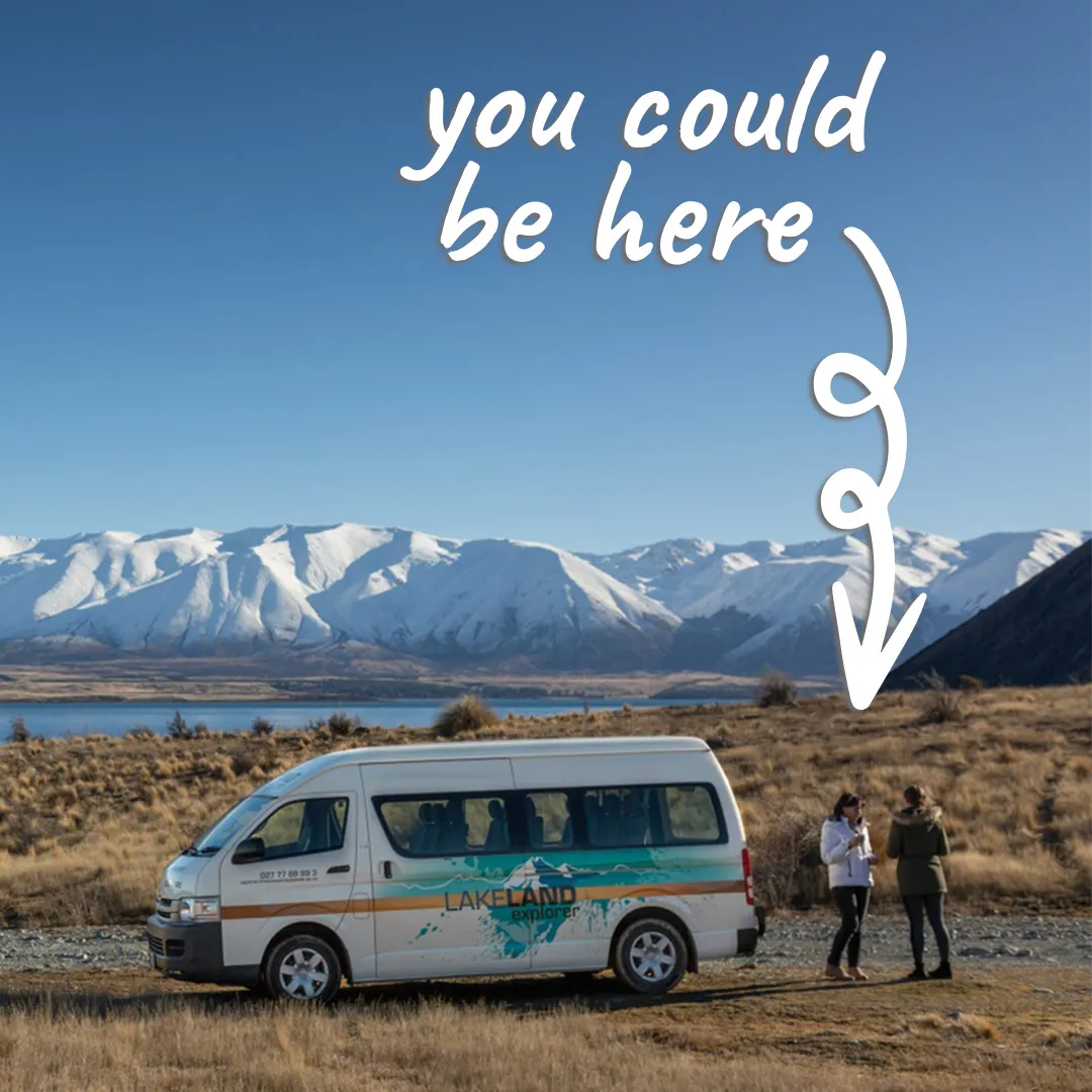 You Should Be Here - International Education campaign