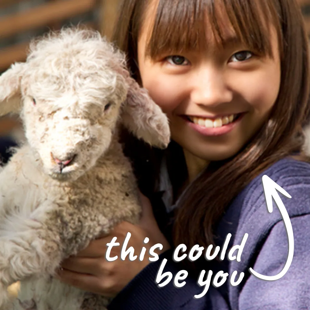 You Should Be Here - International Education Campaign 