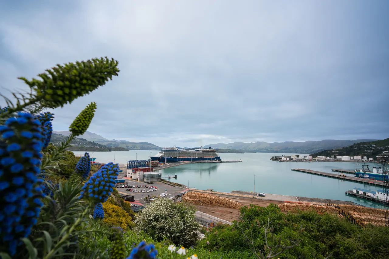 Lyttelton Cruise Ship