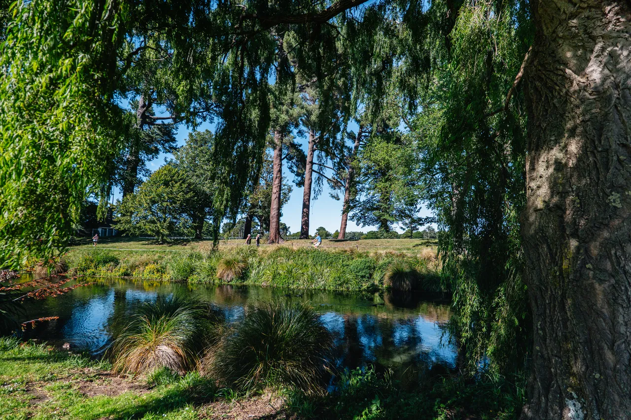 Avon/Ōtākaro River banks 