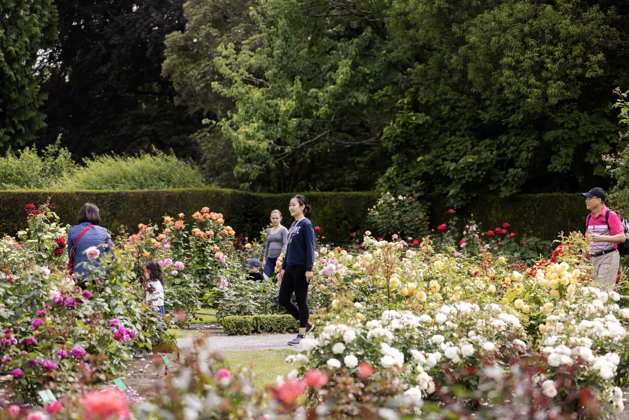 Botanic Gardens 