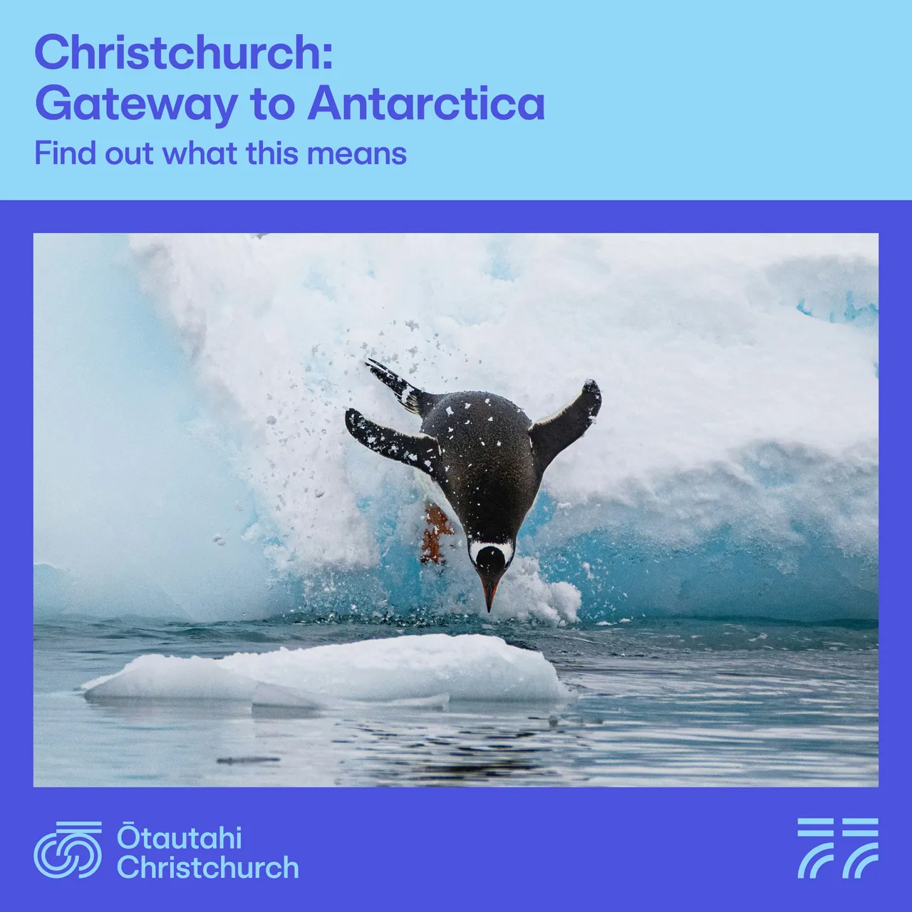 Antarctic Gateway - find out more_option1