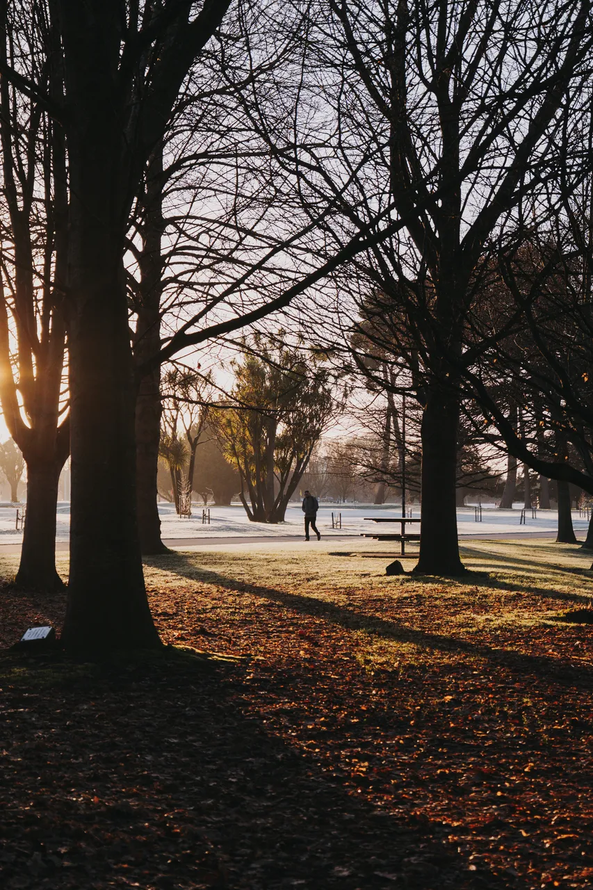 Hagley Park in winter