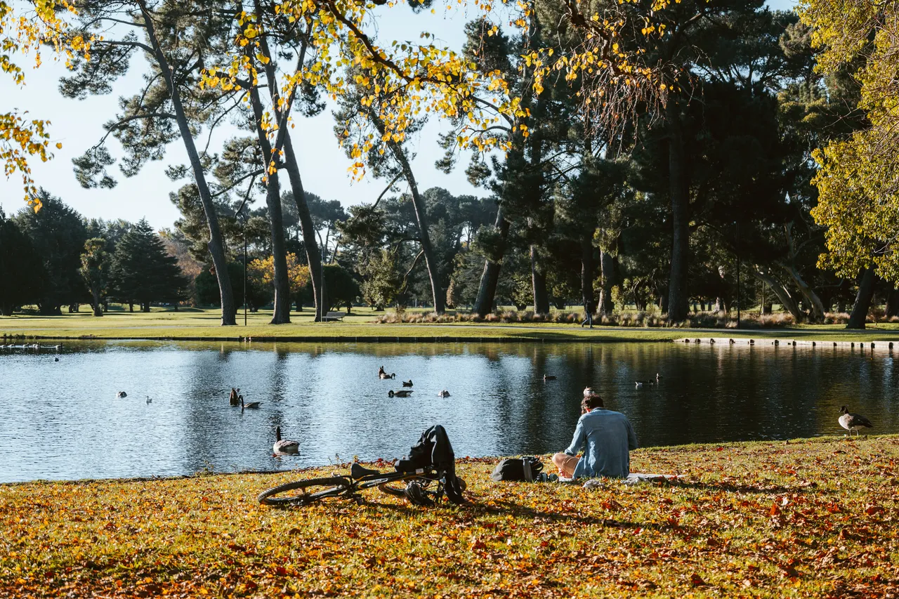 Hagley Park in Autumn