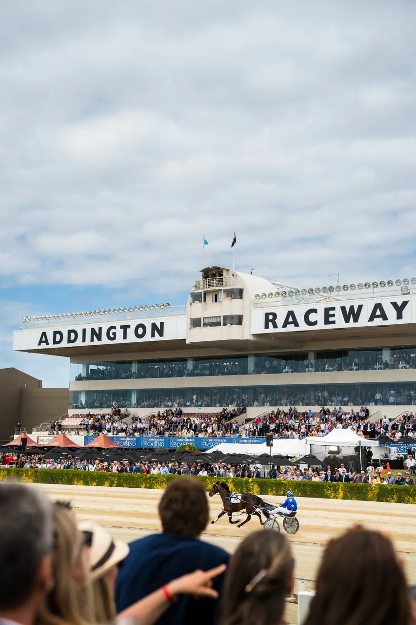 Addington Raceway Cup Day crowds cheering