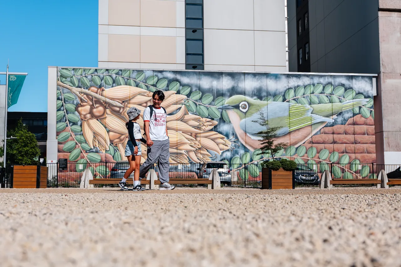 Street art in the city