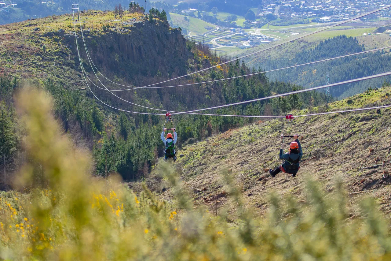 Ziplining at Christchurch Adventure Park
