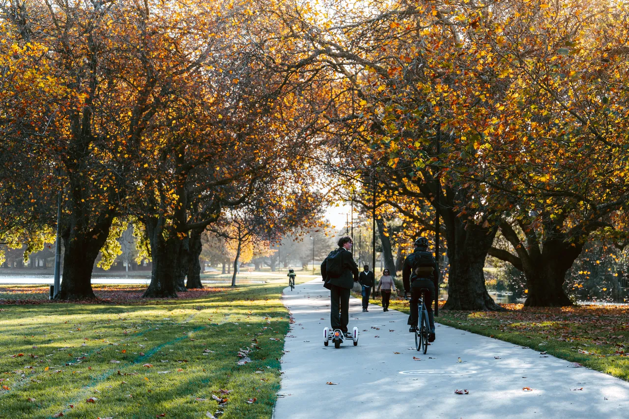 Hagley Park in Autumn