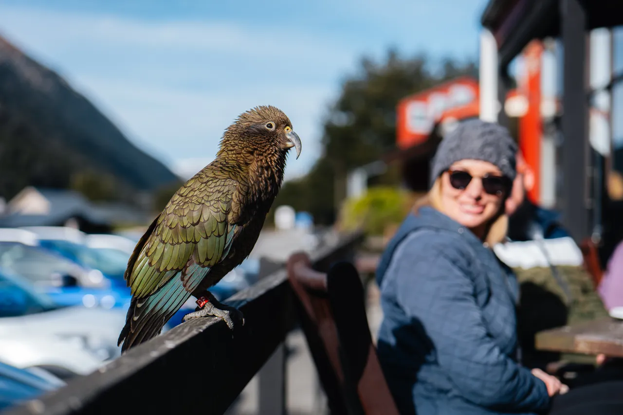 Arthurs Pass