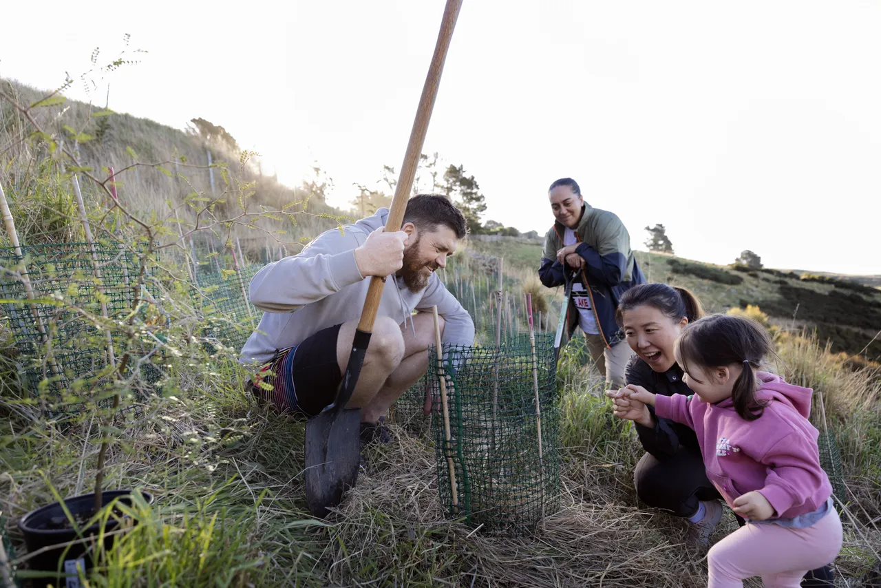 Tree planting along Port Hills