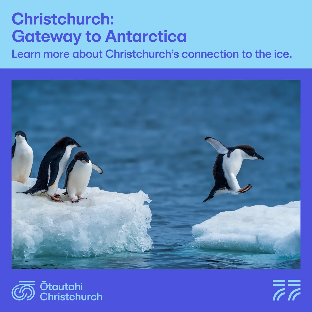 Antarctic Gateway - find out more_option2