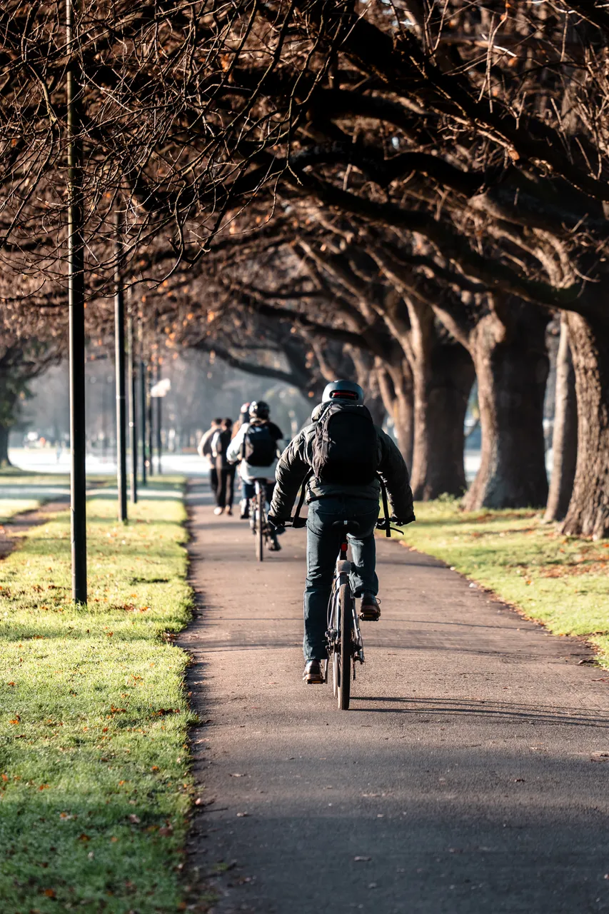 Hagley Park in winter