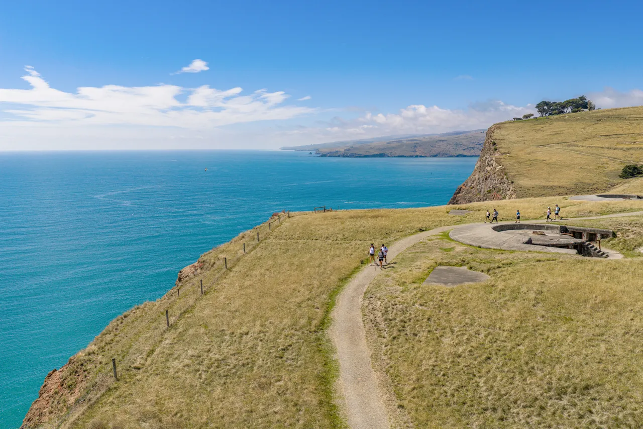 Group hiking at Godley Head Track aerial