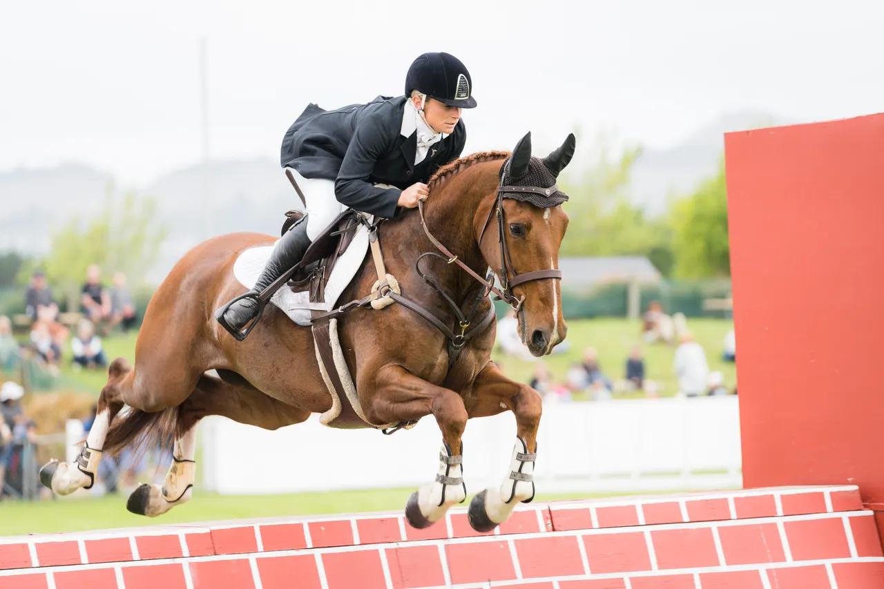 NZ Agricultural Show Show jumping