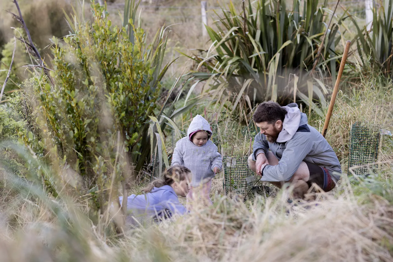Tree planting along Port Hills