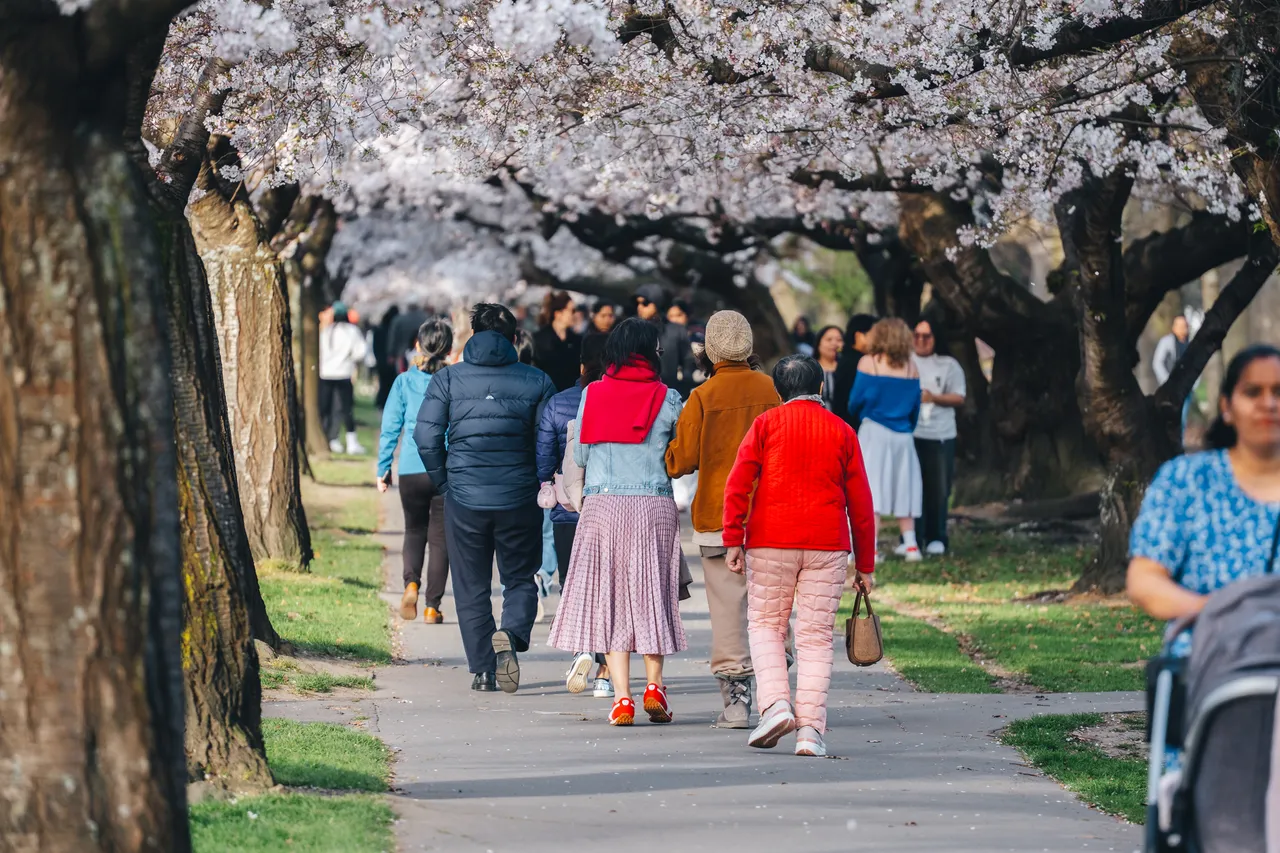 Hagley Park in spring