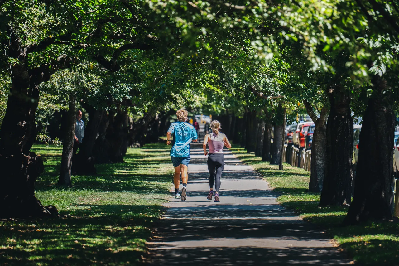 People jogging at Hagley Park