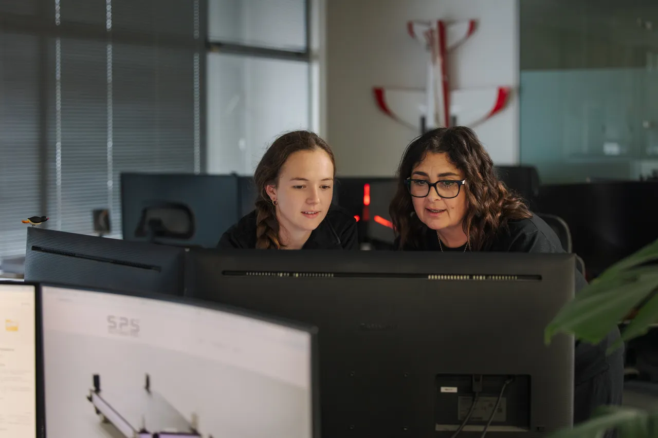 Engineers working on a project 