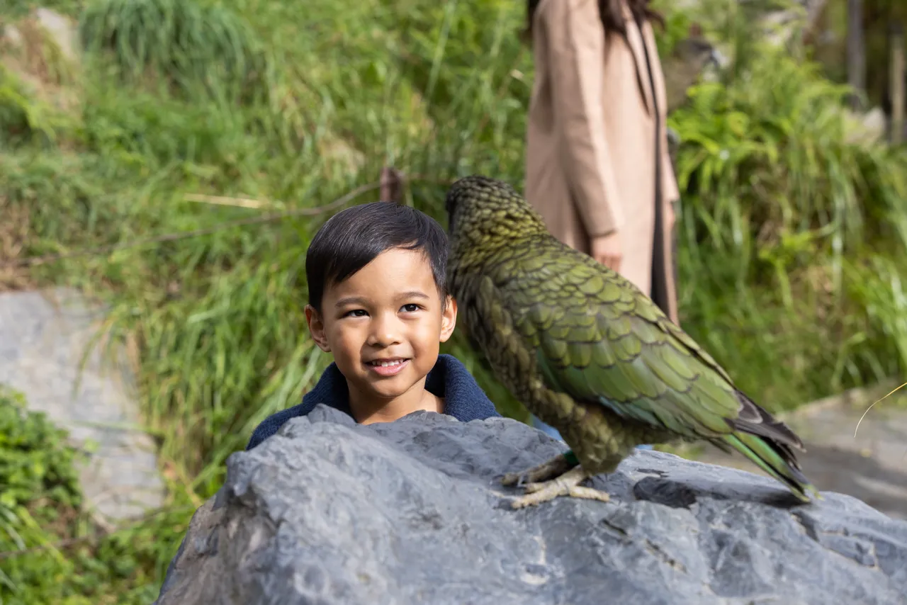 Willowbank Kea