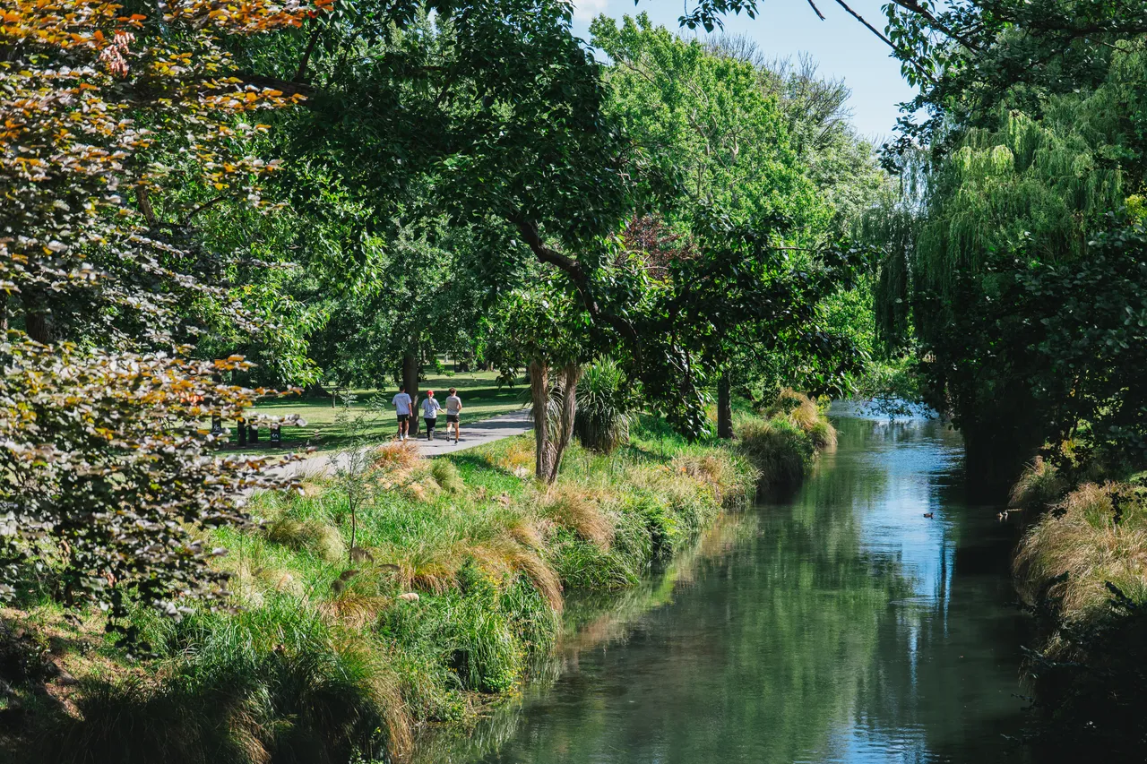 Hagley Park in summer