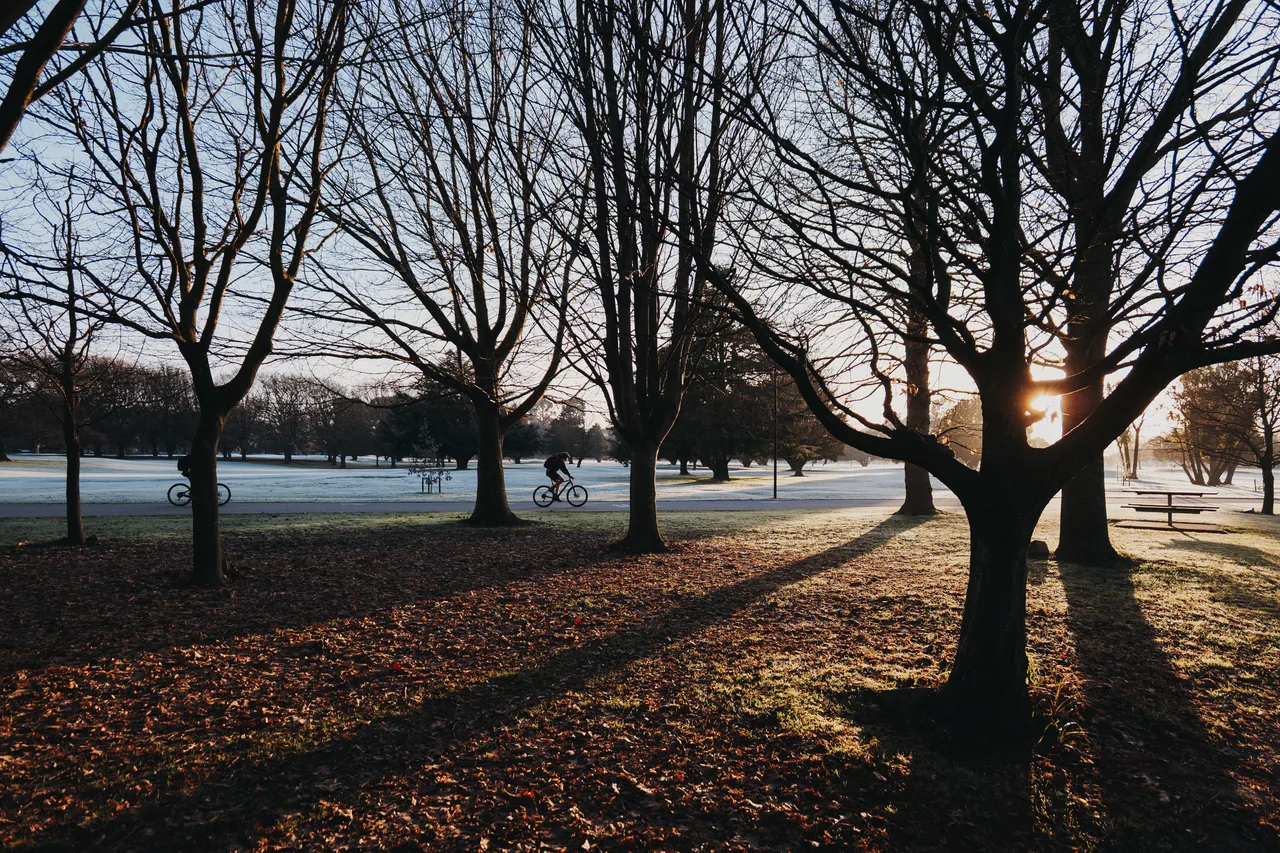 Hagley Park in winter