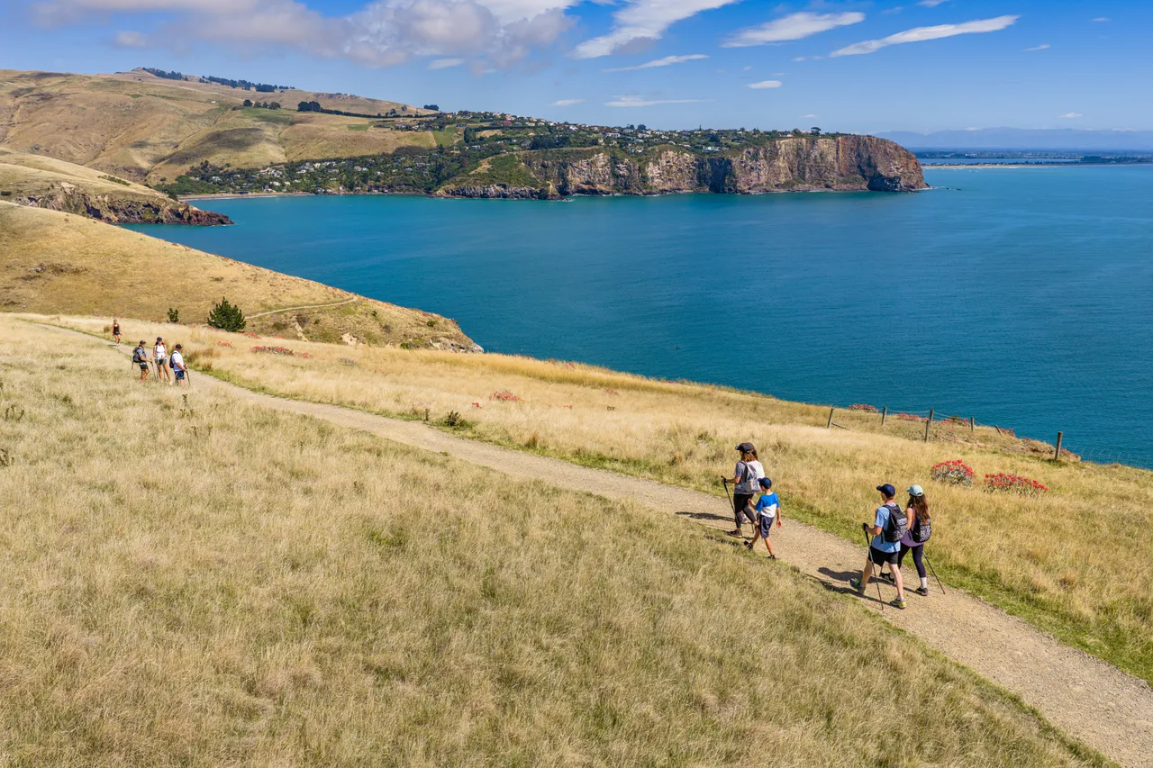 Group hiking at Godley Head Track aerial