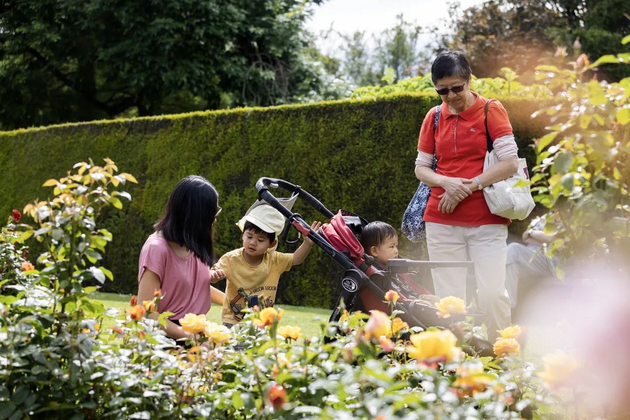Botanic Gardens