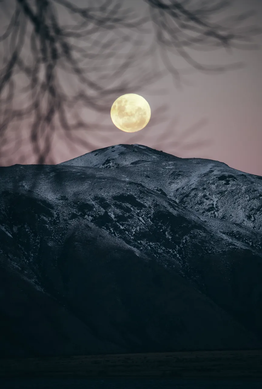 Lake Camp Moonrise
