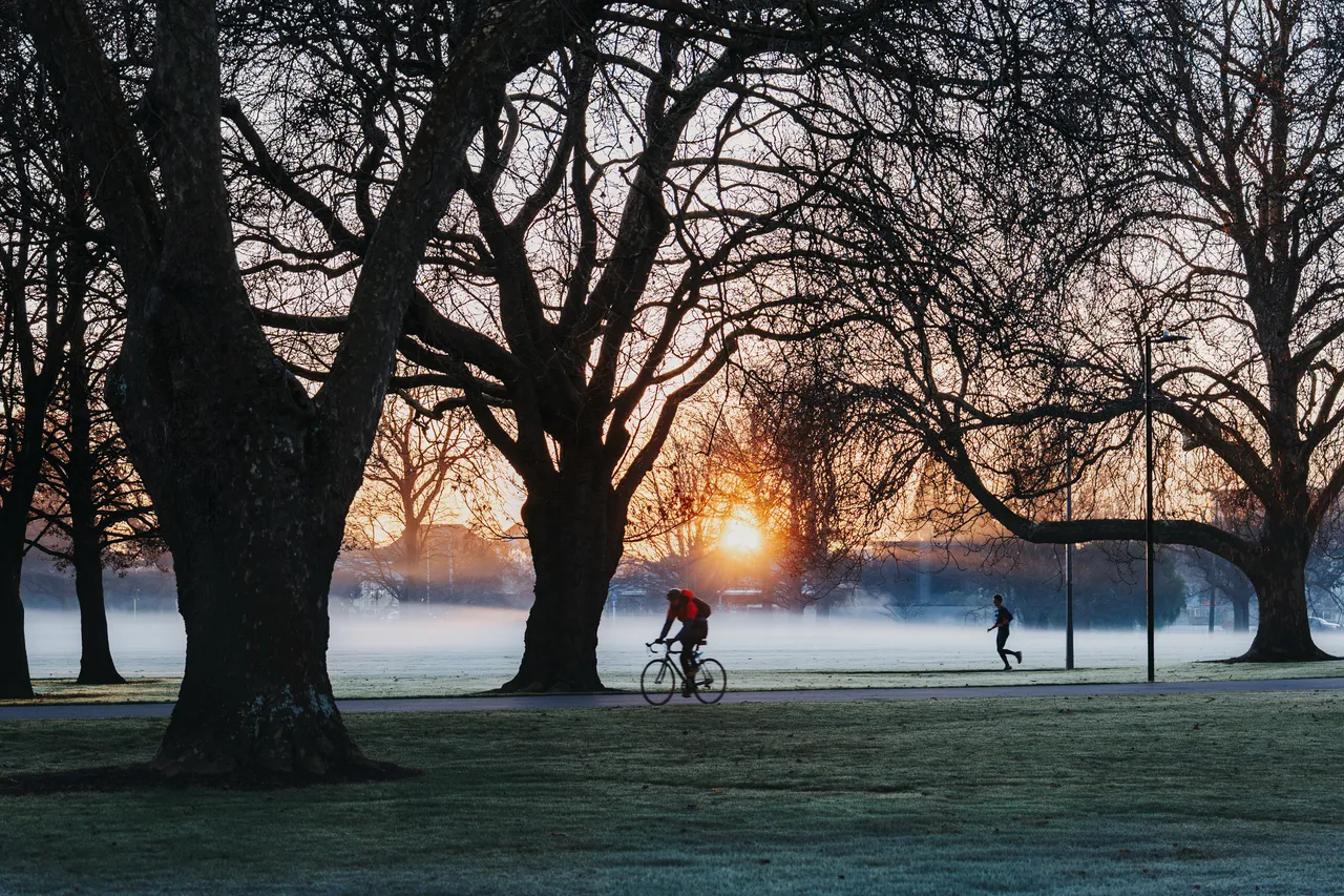 Hagley Park in winter