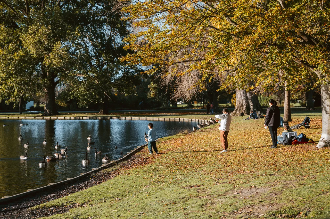 Hagley Park in Autumn