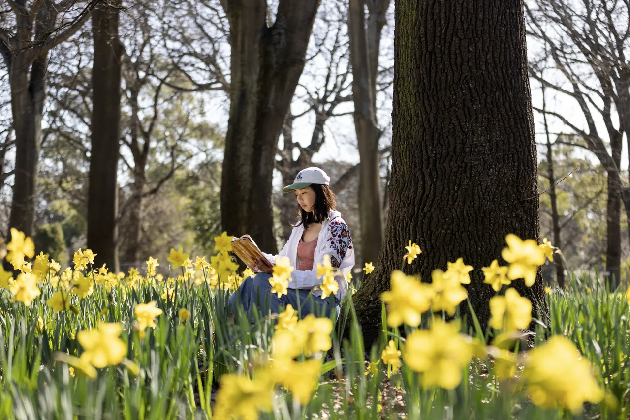 Spring in the city 