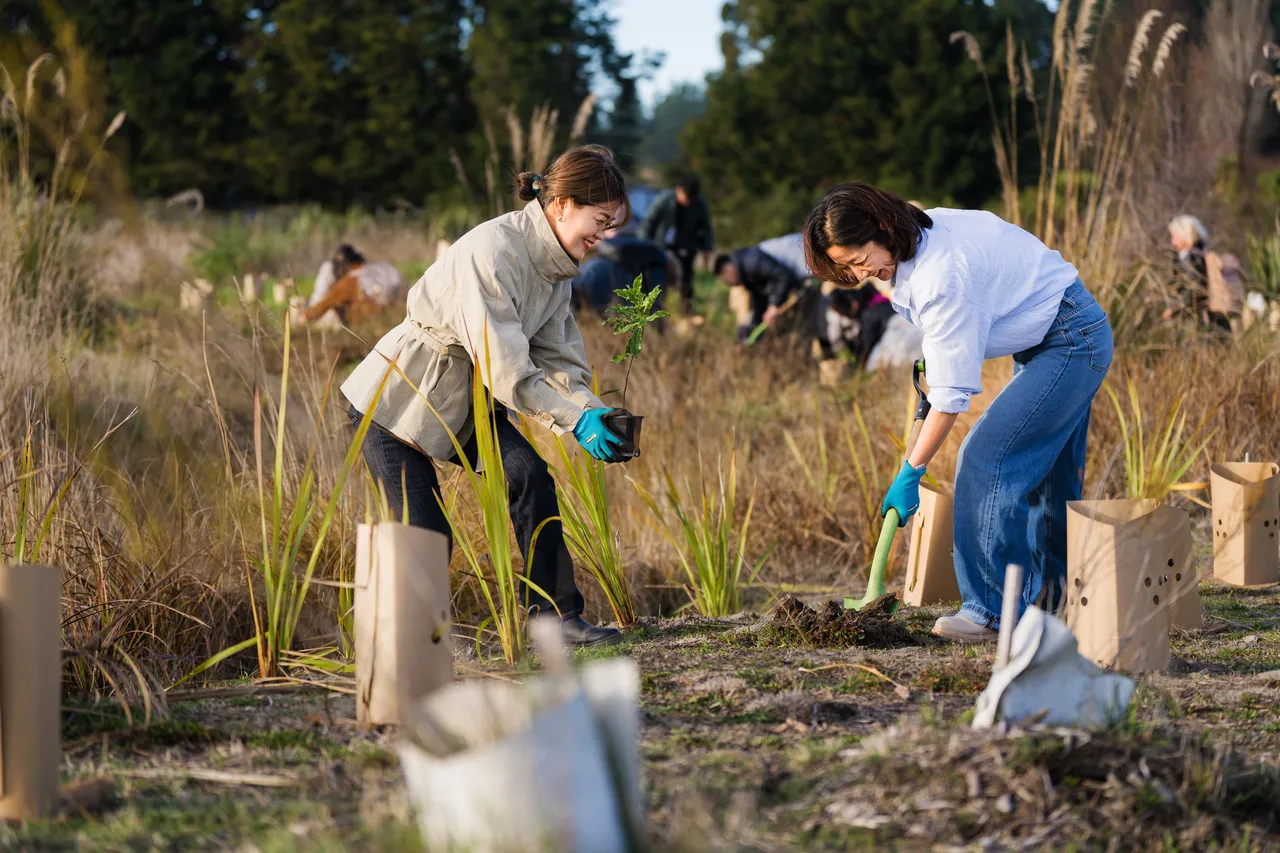 Tree planting in Tūhaitara Coastal Park
